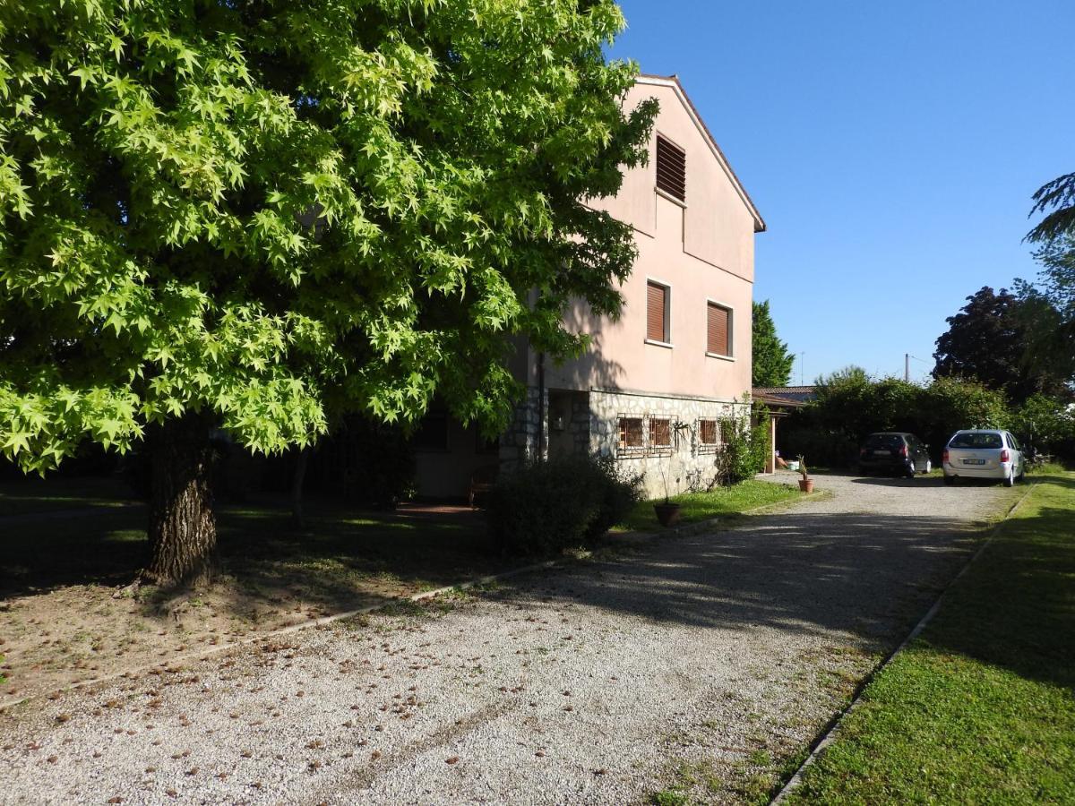 Villa Venezia Torre di Mosto 外观 照片