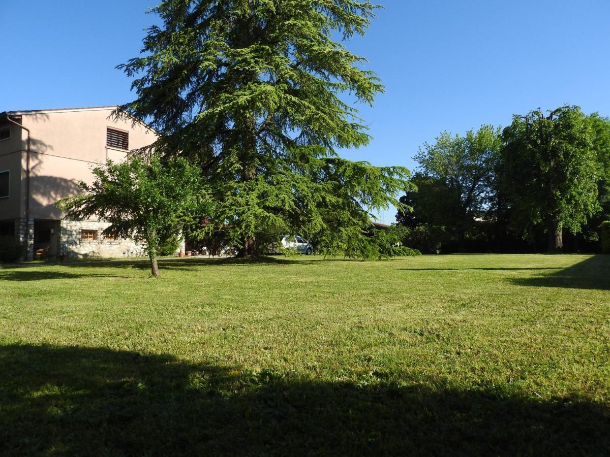 Villa Venezia Torre di Mosto 外观 照片